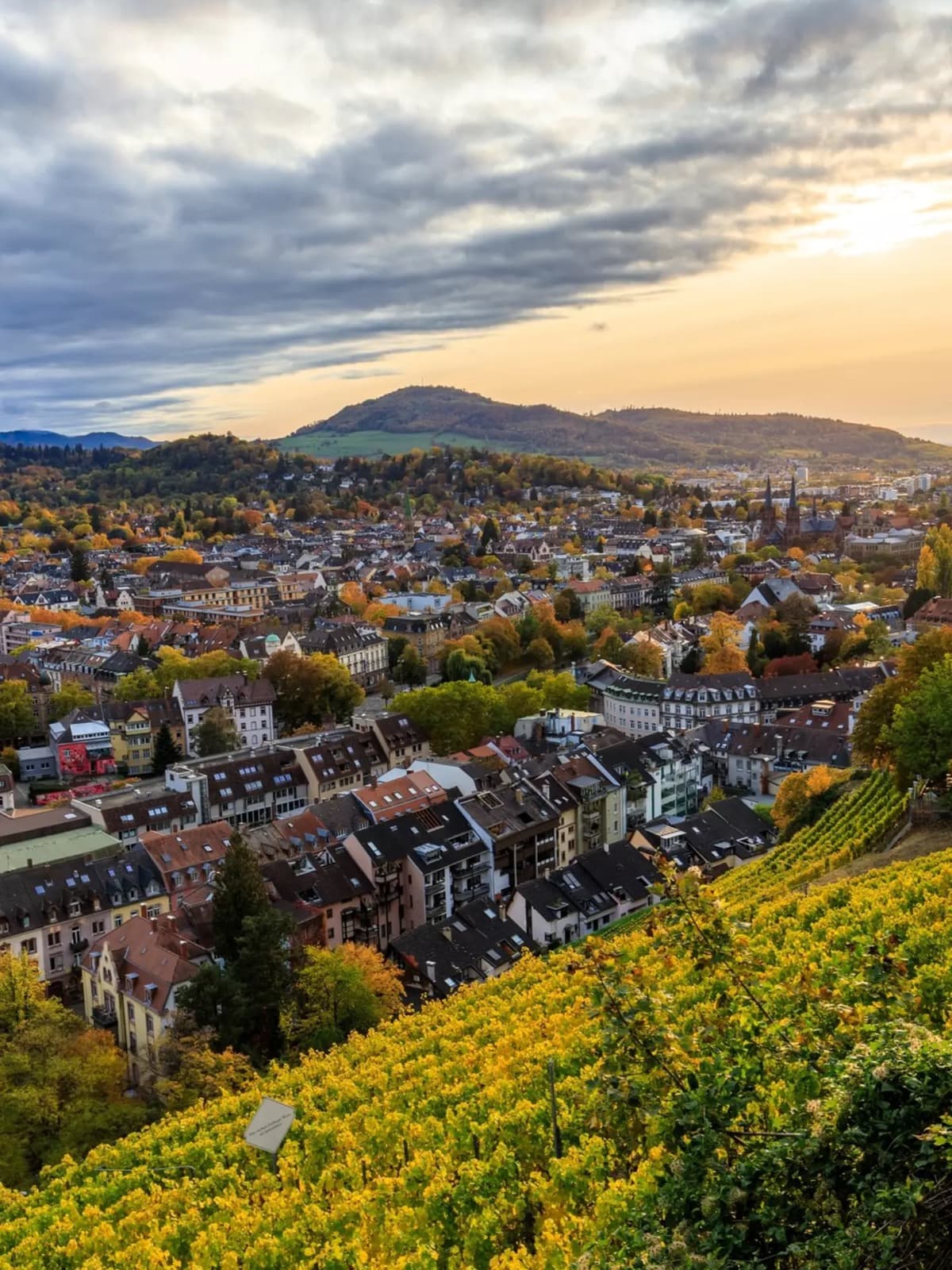 Freiburg im Breisgau at sunset — the European Green Heart